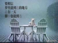 义乌市晚亭电子商务商行