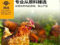 义乌市晚亭电子商务商行